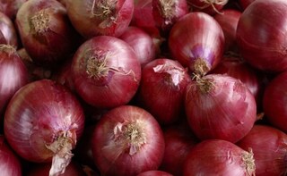 Onions to be Imported in Large Quantities to Stabilize Prices