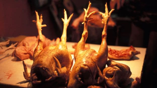 The Protein Problem: Why Eating Too Much Chicken Might not Help Your Diet