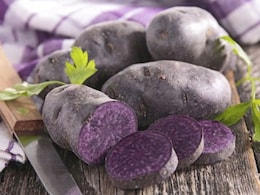 पेट के कैंसर से बचा सकता है बैंगनी आलू पेट के कैंसर से बचा सकता है बैंगनी आलू