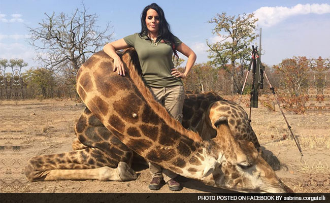 Now, US Huntress Poses With Dead Giraffe, Creates Social Media Furore