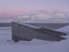 The Doomsday Seed Vault: Why the World May Never Run Out of Food