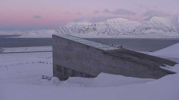 The Doomsday Seed Vault: Why the World May Never Run Out of Food
