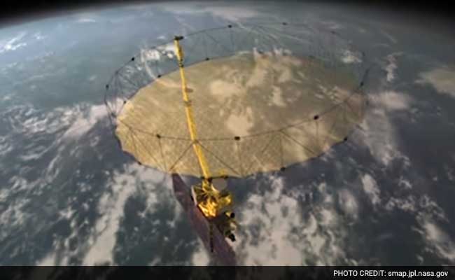 NASA Mission to Rejuvenate Classic Assam Tea NASA Mission to Rejuvenate Classic Assam Tea