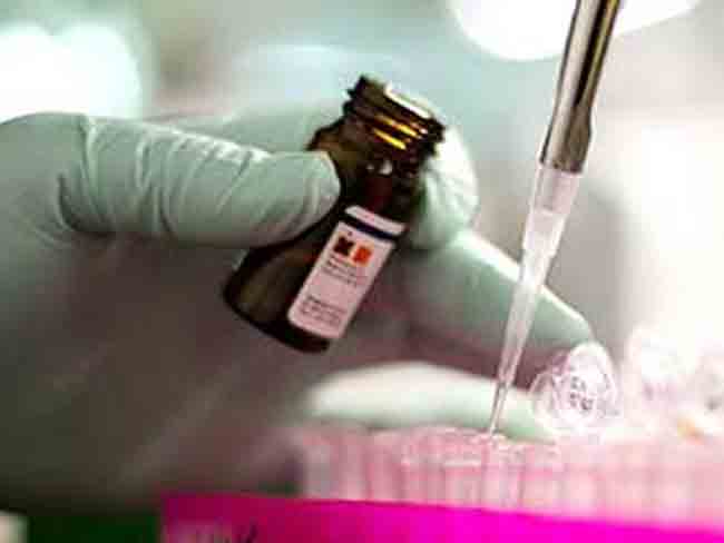 Swine Flu Claims Two More Lives in Telangana