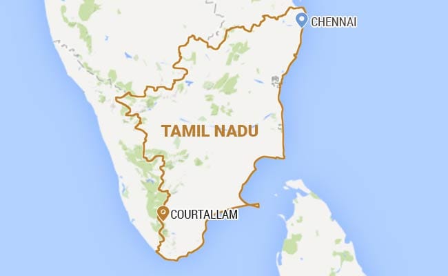 Crew of Film Unit Injured in Bee Attack in Tamil Nadu, Shooting Cancelled