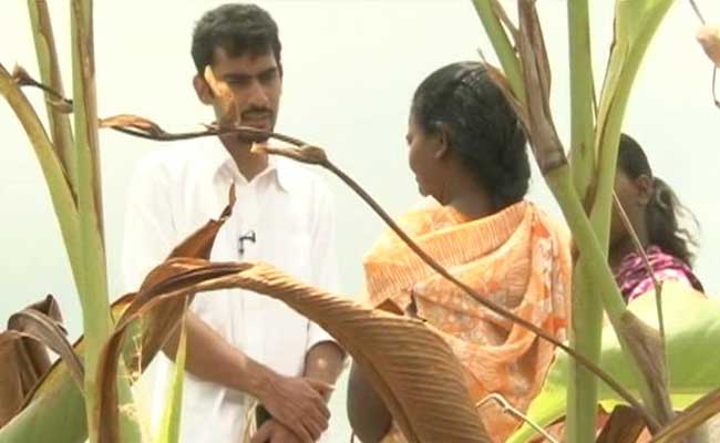 Truth vs Hype: The Invisible Reality of Rape in India