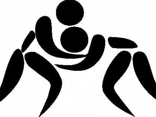 भारत के अनिल ने कैडेट विश्व कुश्ती चैम्पियनशिप में जीता स्वर्ण