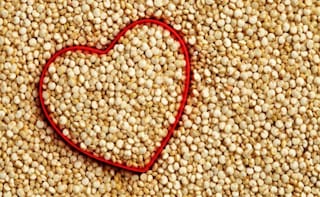 A Tibetan Tale: Super Grain Quinoa Flourishes on Tibetan Plateau