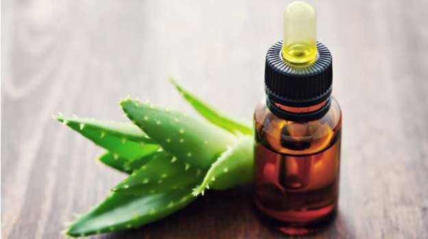 Aloe Vera for Weight Loss