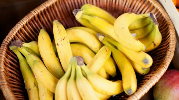 Disease Threatens the Commercial Banana