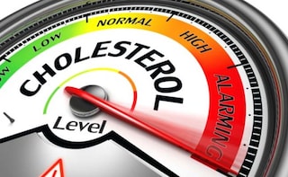 Gut Bacteria Key to Good Cholesterol and Heart Health