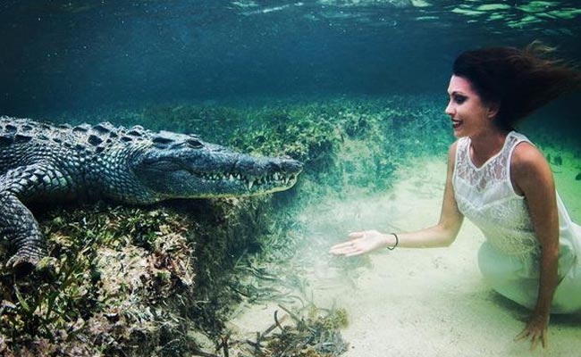 Yes. She's Underwater With the Business End of a Crocodile Next to Her