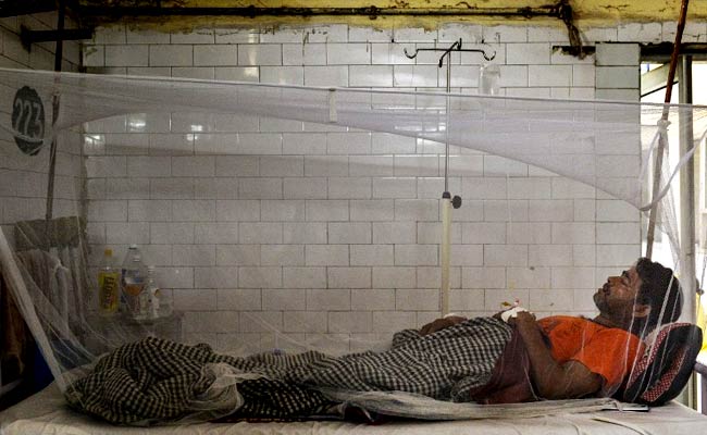 "Big Rise In Organ Failures" Due To Dengue As Cases Spike In Delhi