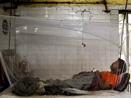 Opinion: Dengue: From Panic to Prevention Opinion: Dengue: From Panic to Prevention