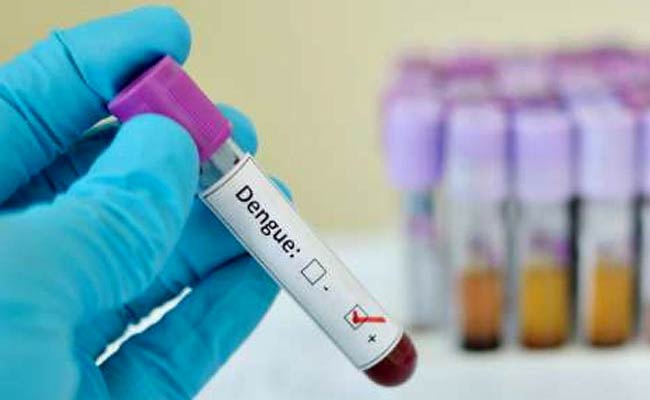 Spurt In Dengue Cases In Kanpur, 250 Policemen Among Affected