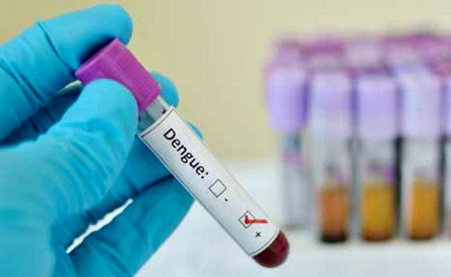 India Close To Launching Dengue Vaccine, Final Trials Underway