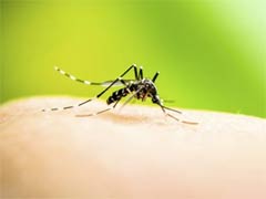 Mathematical Model Could Help Predict Dengue Fever Epidemic