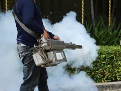Take Preventive Steps To Control Dengue: Delhi High Court