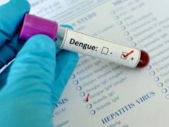 Dengue Outbreak: Precautions for Children
