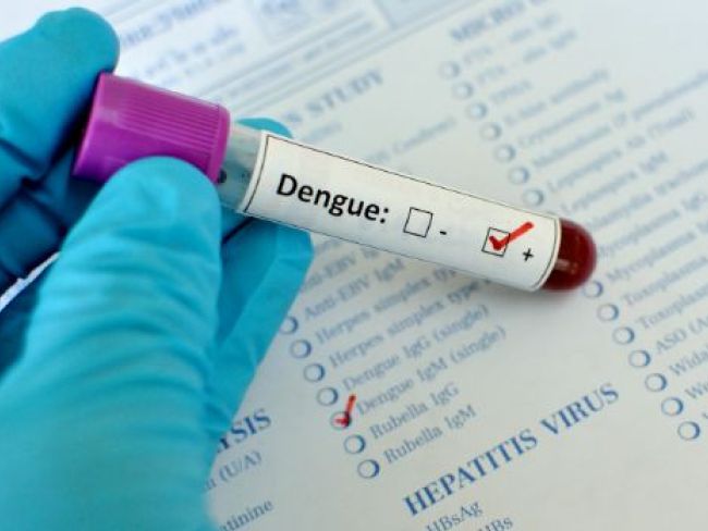 Dengue Prevention : डेंगू के लक्षण और इस घातक बीमारी से बचाव के उपाय...