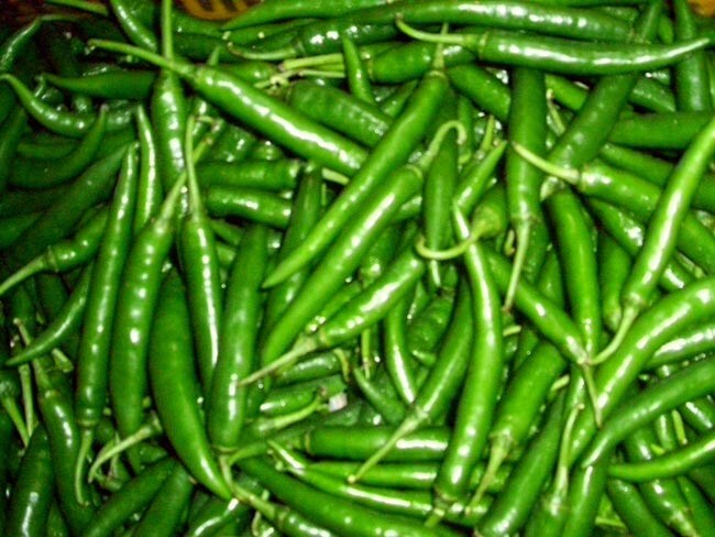 Green Chilli Benefits: स्वाद बढ़ाने ही नहीं सेहत के इन गुणों से भरी है हरी मिर्च, यहां जानें फायदे Green Chilli Benefits: स्वाद बढ़ाने ही नहीं सेहत के इन गुणों से भरी है हरी मिर्च, यहां जानें फायदे