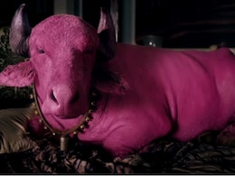 Following Bollywood's Thin Pink Line to <i>Shaandaar</i>'s <i>Gulaabo</i> Following Bollywood's Thin Pink Line to <i>Shaandaar</i>'s <i>Gulaabo</i>