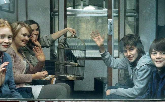 Another Potter Just Got Sorted Into Gryffindor at Hogwarts. Find Out Who
