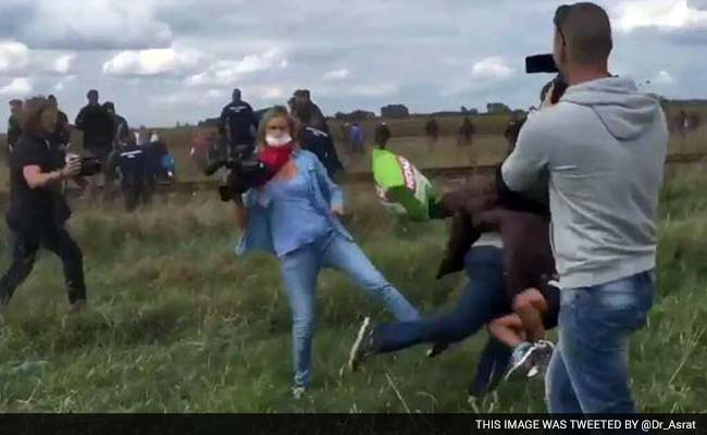 Journalist Fired After Being Caught on Camera Kicking Immigrants