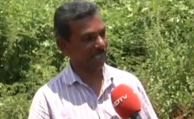 Poisoned 130 Dogs, Ready to Go to Jail, Says This Kerala Man