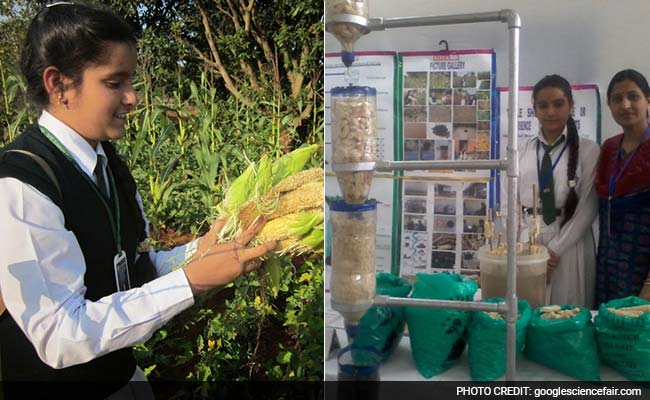 Odisha Girl, 13, Wins Big Award at Google Science Fair