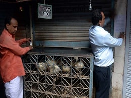 Meat Ban Not an Issue to Be Forced Down People's Throats: Supreme Court Meat Ban Not an Issue to Be Forced Down People's Throats: Supreme Court