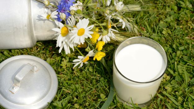 Is the Milk You're Drinking Safe? 4 Easy Ways to Spot Adulteration