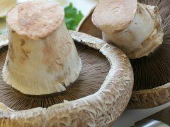 3 People Including A Child Die After Consuming Wild Mushrooms In Mizoram