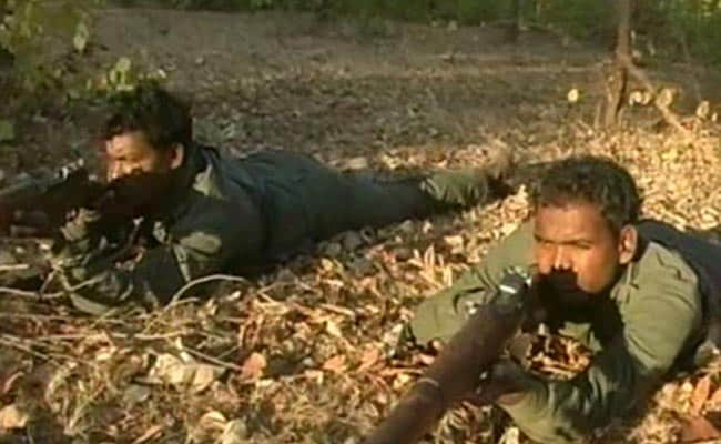 502 Naxals Have Surrendered in 10 Years; Rehabilitated: Maharashtra Government