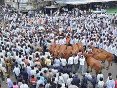 Nationalist Congress Party Protests in Maharashtra Over Marathwada Drought Issue