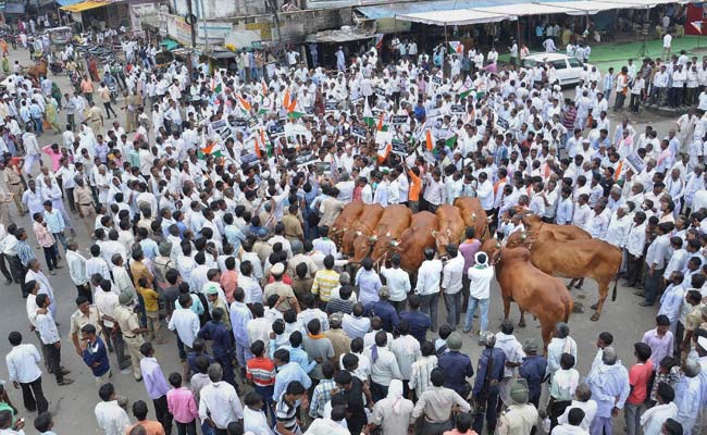 Nationalist Congress Party Protests in Maharashtra Over Marathwada Drought Issue