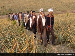 Sikkim Becomes India's First Fully Organic State Sikkim Becomes India's First Fully Organic State