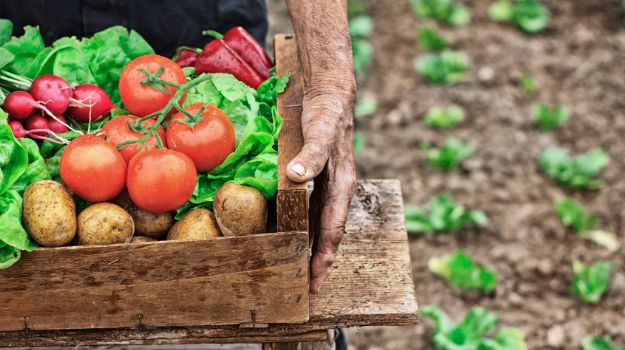 To Build a Greener Economy, Bhutan Wants to Go Organic by 2020