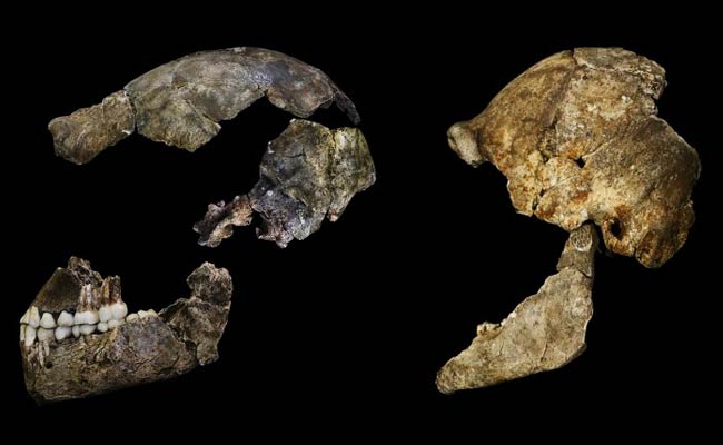 Remains of New Human Species Found in South African Cave: Scientists