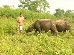 How This Ex-Poacher has Taken to Conservation of Assam's One Horned Rhino