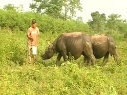 How This Ex-Poacher has Taken to Conservation of Assam's One Horned Rhino How This Ex-Poacher has Taken to Conservation of Assam's One Horned Rhino