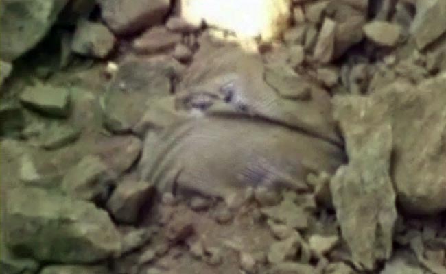 In Madhya Pradesh, a Road Built Over a Man Who Was Alive