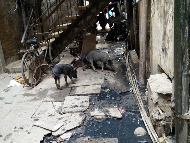 सुशील महापात्रा की कलम से : दिल्ली के संगम पार्क में लगातार जारी है संघर्ष... सुशील महापात्रा की कलम से : दिल्ली के संगम पार्क में लगातार जारी है संघर्ष...