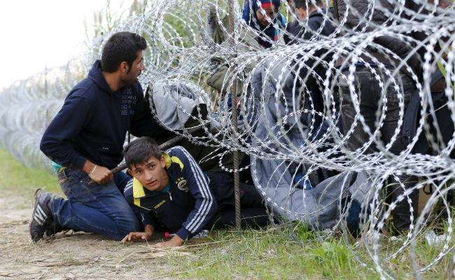 Slovenia Putting up Fence Along Border With Croatia to Control Migrant Flow