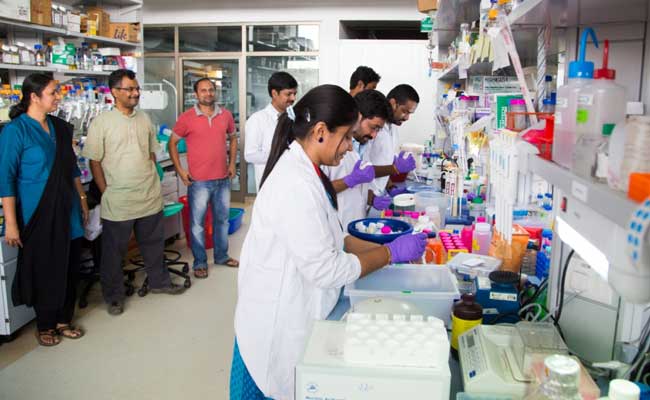 Indian Scientists Map Genome of Tulsi Plant