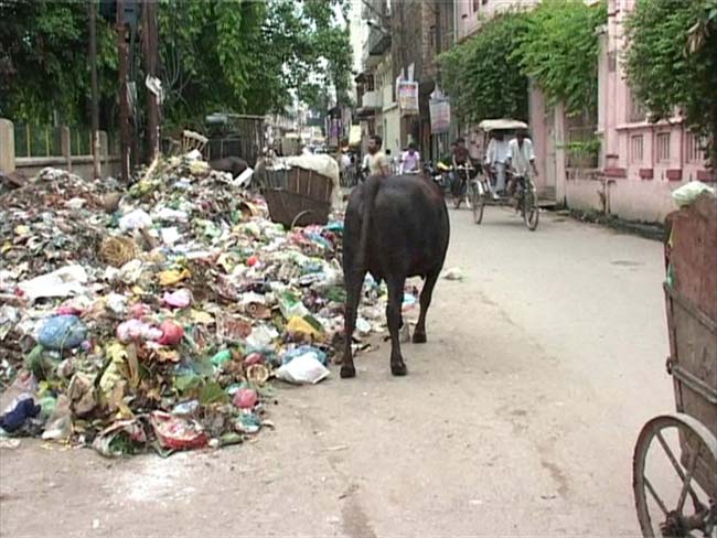 स्वच्छता अभियान पार्ट 2 : कूड़ा हटाने की कोशिश फिर कूड़े में न जाए