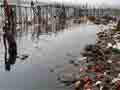 UP Officials Response On Yamuna Cleaning Unsatisfactory: Green Tribunal