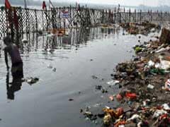 Get Celebrities To Raise Awareness On Yamuna River Pollution: Green Panel