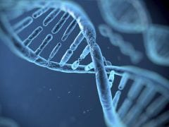 Gene-Editing Technique Could Treat Muscular Dystrophy