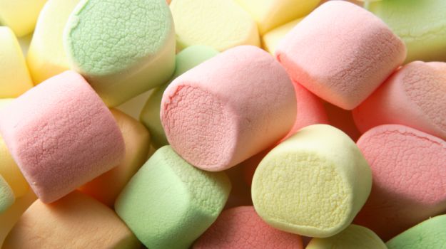 Recent 'Marshmallow Test' Shows Impulse Control, Other Traits are not Fixed